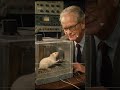 The Skinner Box Experiment That Explains Your Behavior
