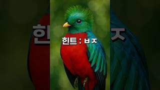 제일 비싼 새는? #넌센스퀴즈 #퀴즈 #유머 #아재개그 #시니어