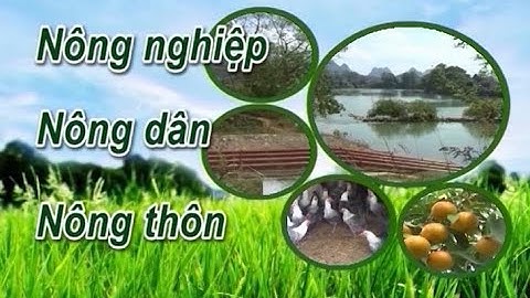 Nông nghiệp, Nông dân, Nông thôn: Vai trò Hợp tác xã trong phát triển sản phẩm OCOP