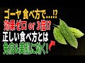 ゴーヤの健康効果を3倍に！免疫力を高め、美肌を守る正しい食べ方｜高齢者の健康
