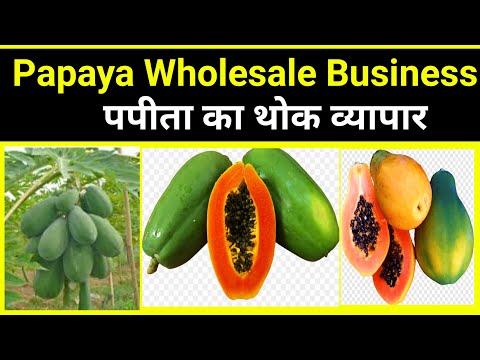 Papaya Wholesale Business