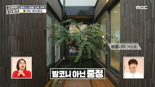 거실에 발코니가 아닌 중정! 하루 종일 어디서든 볼 수 있는 구조