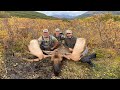 Alaska Bull Moose Hunt | 2020 |