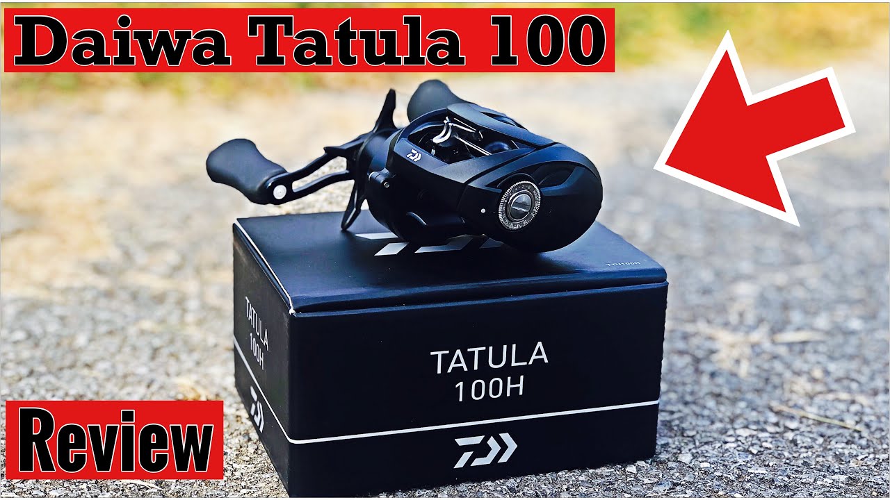 Daiwa Tatula 100 Casting Reel (2023) — The Tackle Trap