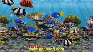 fish moving aquarium wallpapers screensaver screensavers windows tropical 3d desktop tank animated pc