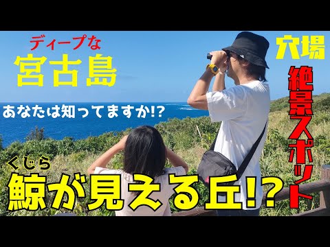 【ディープな宮古島】鯨が見える丘に登ってみたら「神の景色」いわゆる絶景が広がっていた【宮古島観光】【宮古島vlog】