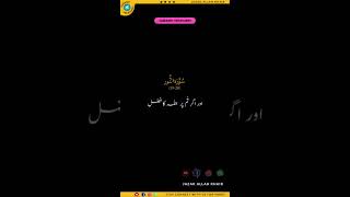 Heart Full Of Light 🌙 | Surah Noor Reflection 💫
