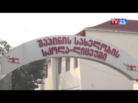 შაჰინის სკოლა-ლიცეუმი ავტორიზაციის საბჭოს დასკვნას ეხმიანება