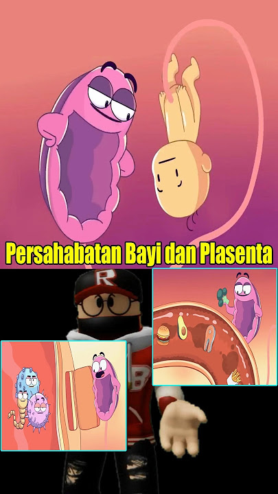 Beginilah Perjuangan Plasenta Menjaga Kehidupan Bayi di Dalam Rahim Ibu! #shorts #short #shortsfeed