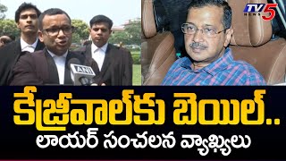 Delhi CM Arvind Kejriwal Lawyer Sensational Comments After Interim Bail | Delhi Liquor Scam | TV5