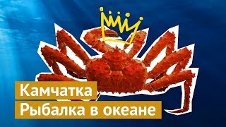 Камчатка: выходим в открытый океан