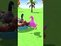 Scary Teacher’s Funny Duck Laid Rainbow Eggs… Other Ducks Shocked #usa #scaryteacher#foryou#trending