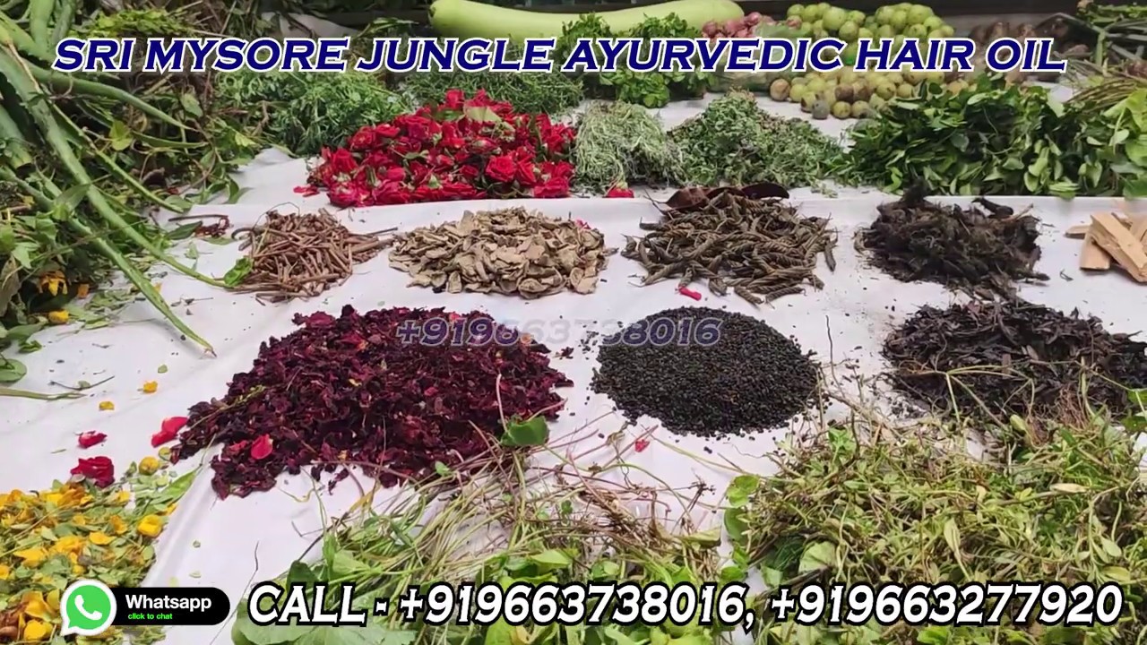Mysore adivasi ayurvedic herbal hair oil YouTube