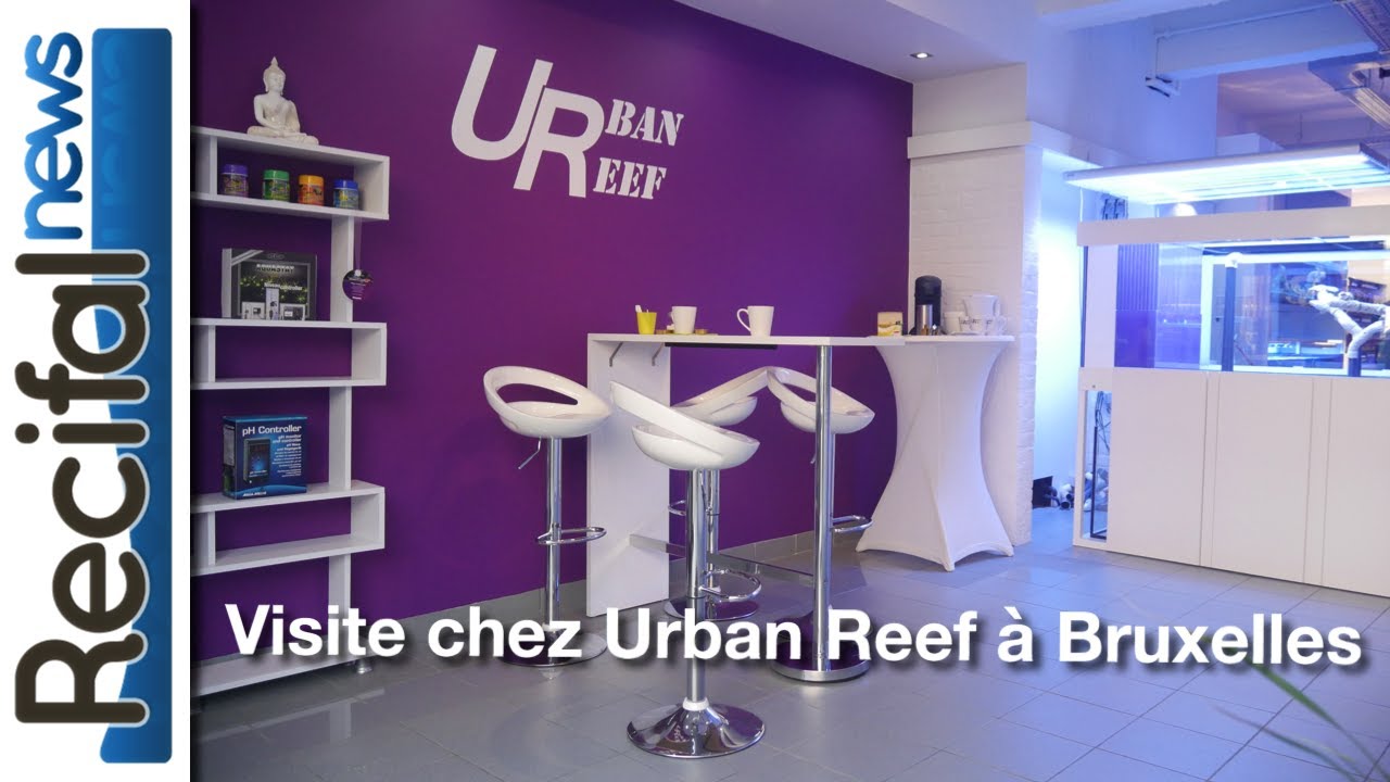 Visite chez Urban Reef à Bruxelles