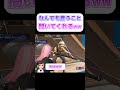 なんでも言うこと聞いてくれるw #フォートナイト #fortnite #フォトナ女子