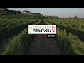 Day One highlights: World&#39;s Best Vineyards 2023 hosted by Rioja