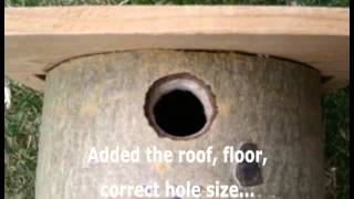 How to Build a Bird House from a Wooden Log | Tree Bird House http://www.birdwatching-bliss.com/how-to-build-a-bird-house-wood.html Follow the link for complete instructions for a simple how to