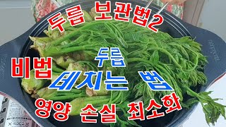 🎁제철 두릅 데치는(삶는)법! 영양 손실 최소화 손질법과 두릅 냉장, 냉동보관법