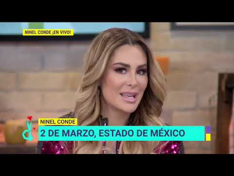 Vídeo: Ninel Conde Nova Coleção De Vestidos