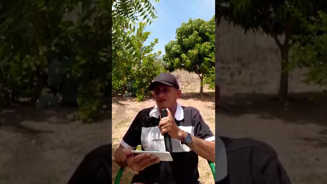 Dama nua Amado batista