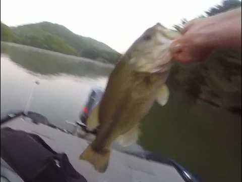 07/07/2026 Normandy Bass Fishing Trip – Finally hitting buzzbait again