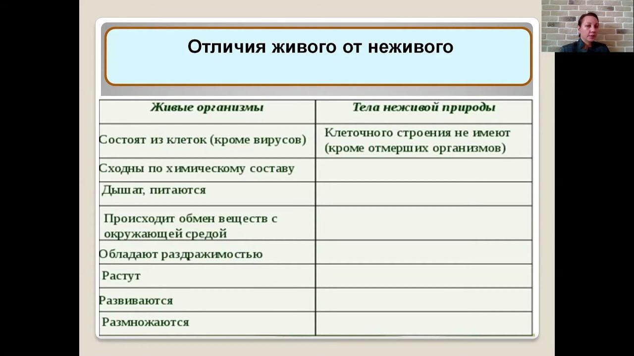 Как отличить живую. Разнообразие живого 5 класс Естествознание. Многообразие живых организмов 5 класс Естествознание.