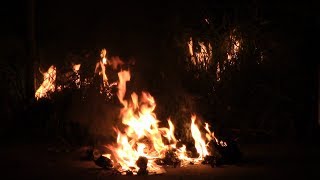 LAFD Engine 33 Puts Out a Small Rubbish Fire in South Los Angeles