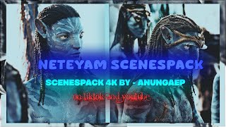 NETEYAM SULLY SCENESPACK 4K