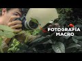 Fotografa macro en la selva  costa rica