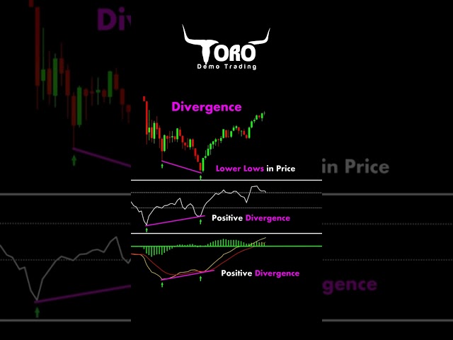 Divergence: The Hidden Trading Indicator You Need!