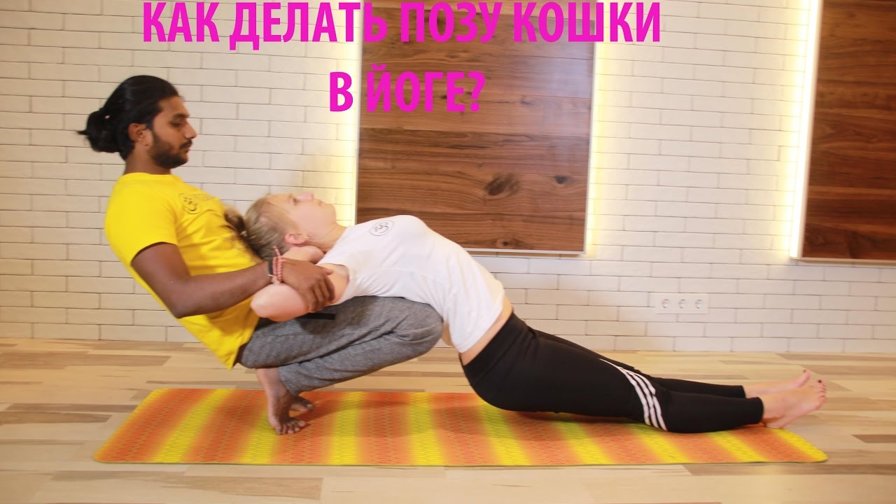 Поза кошки: польза и техника выполнения Поза кошки: польза и техника выполнения
