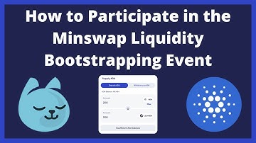 How to get purrAda and Participate in the Minswap Liquidity Bootstrapping Event (LBE)!