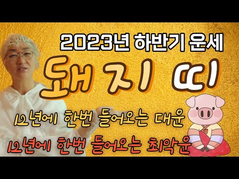   2023년 돼지띠 하반기 운세 박나래가 라디오스타에서 말한 그집