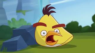 Angry Birds Toons Season 3 Episode 18 Eggshaustion