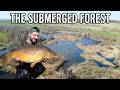 Fishing a SUBMERGED FOREST for Carp - The First English Angler to Ever Fish Here!