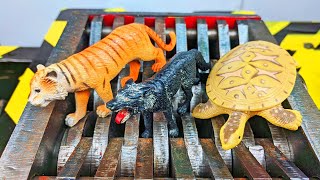 Shredder Vs Wolf, Tiger & Sea Turtle Toys Satisfying