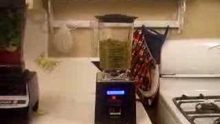 Blended Salad