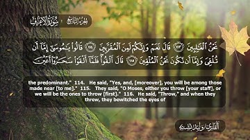 09الجزء التاسع  برواية حفص عن عاصم للقارئ وليد بشتة