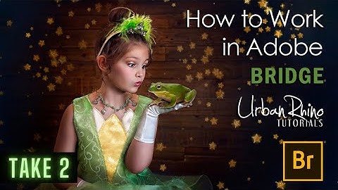 How to Work in Adobe Bridge: Take 2