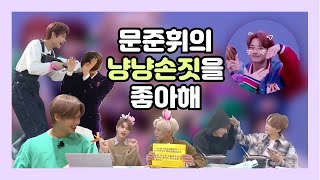 [세븐틴/준] ★준휘의 냥냥손짓을 좋아해★
