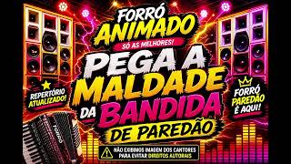 Pega a maldade da bandida forro de paredão 