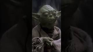 Star Wars Day Rabbit Hole (Part 6 of 23)