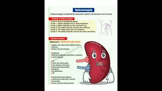 👒   Splenomegaly  causes,  and  grade   👒