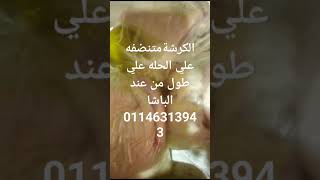 الكرشه القشطه تطبخي وهيصي