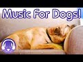 Relaxing Music for Dogs! Music to Calm and Relax Your Dog or Puppy!
