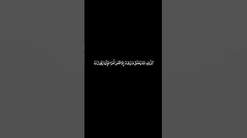 #القران_الكريم #سورة_آل_عمران #ياسرالدوسري #كرومات الآيات  46 _ 48