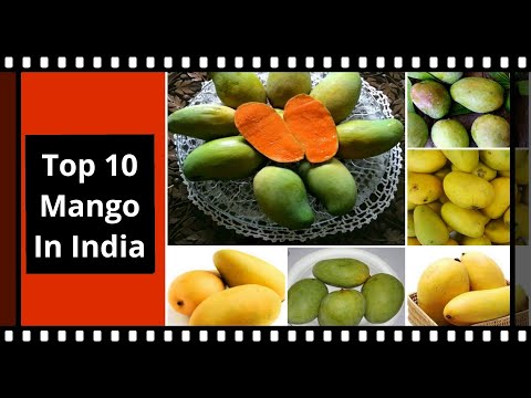 Video: Top 10 Beste Gezondheidsvoordelen Van Mangosap