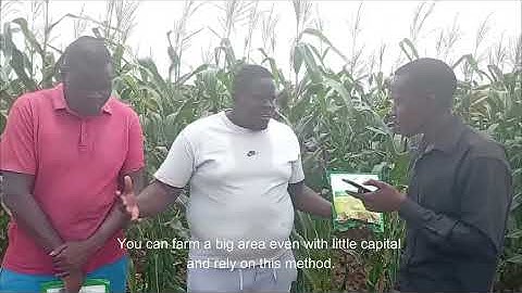 How Malawi’s Mega Farmers Cut Fertiliser Costs by 50% and Increased Yields with GrowPro”