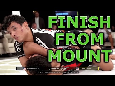 A Simple Mount System For Consistent Submissions (bjj Analysis)