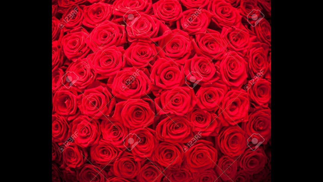Un Million De Roses Rouges Un million de roses rouges/Dominique Moison (cover)by pongjigol ポンジゴルの ...